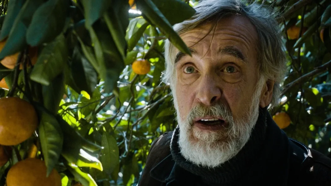 Tangerines (2013)